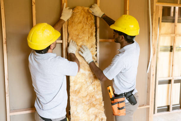 Insulation Air Sealing in Maurice, LA